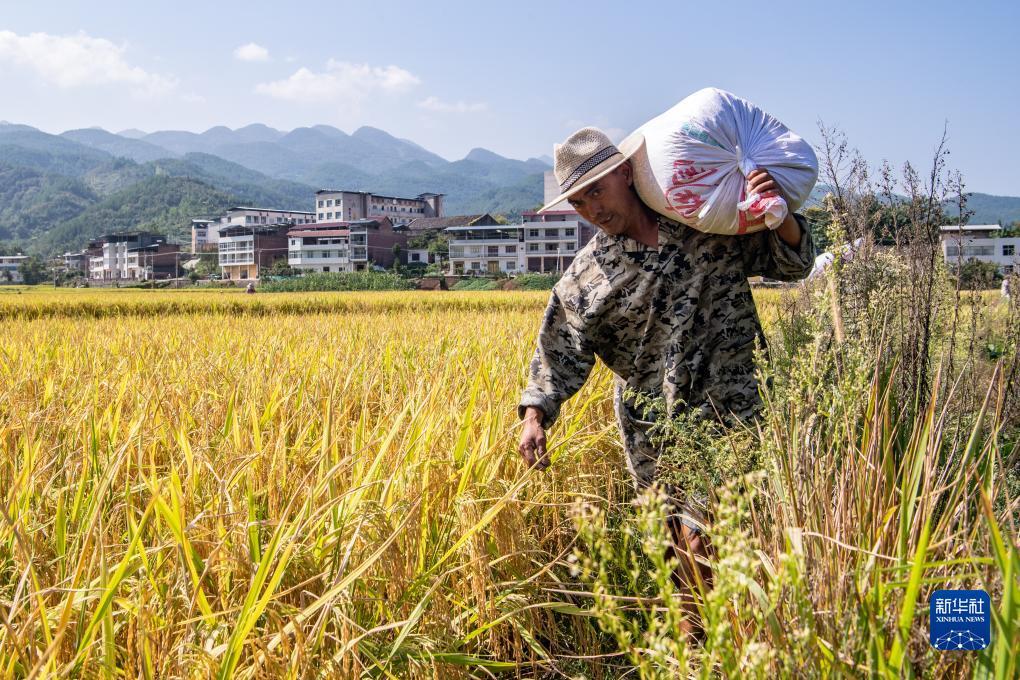 捕鱼王游戏技巧